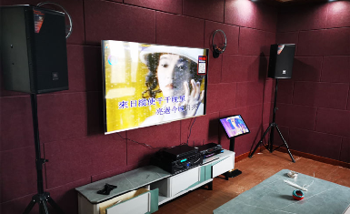 乡下自建别墅KTV案例