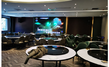 酒店宴会厅案例