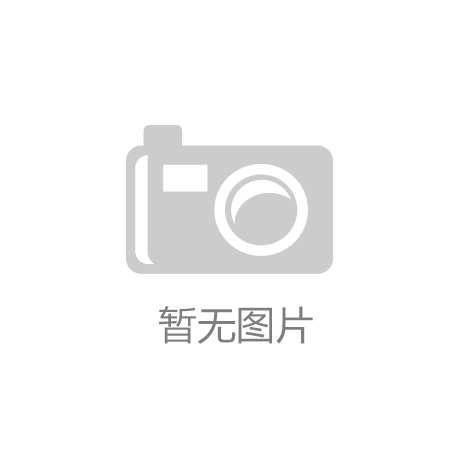 系统案例展示